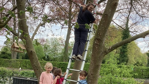 Kinder der Garten-AG an der Josefschule in Gütersloh haben Nistkästen für Meisen gebaut und hängen diese auf