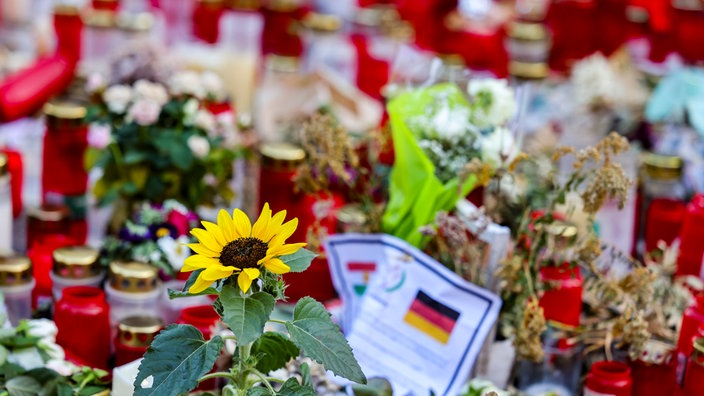Eine Sonnenblume und unzählige Kerzen am Gedenkort unweit des Tatorts.