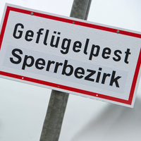 Ein Schild mit der Aufschrift "Geflügelpest Sperrbezirk"