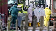 24.10.2025, Rees, NRW: Mehrere Personen in Schutzanzügen laufen auf dem Gelände eines landwirtschaftlichen Betriebs