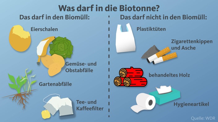 Zwei Spalten: Was darf in die Biotonne (Eierschalen/Gemüse/Obst/Gartenabfälle/Teefilter/Kaffeefilter)/Was darf nicht in die Biotonne(Plastiktüten/Zigaretten/Asche/behandeltes Holz/Hygieneartikel)