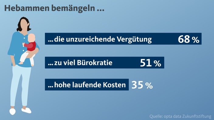 Eine Grafik zeigt, was Hebammen laut einer aktuellen Studie bemängeln