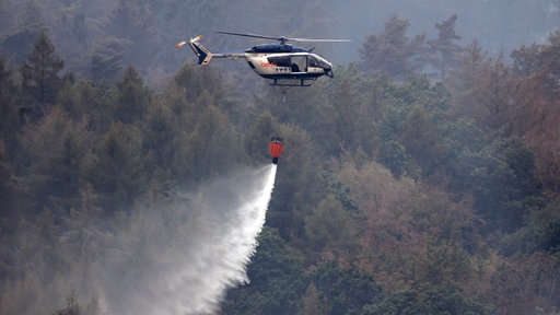 Hubschrauber von Bundeswehr und Bundespolizei, Bergepanzer der Bundeswehr und zahlreiche Kraefte von Feuerwehr und anderen Freiwilligen sind beim Waldbrand im Hürtgenwald im Einsatz. 