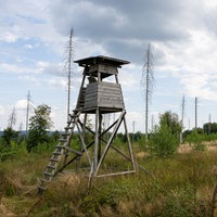 Hochsitz auf einer Lichtung 