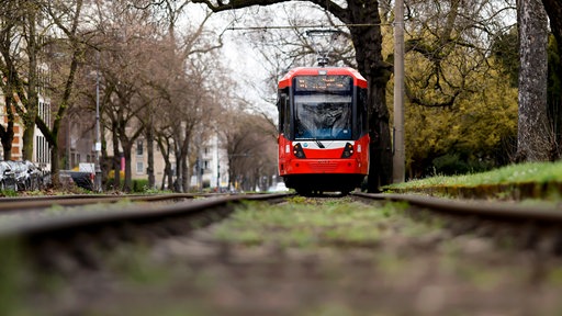 KVB-Linie 16 in der Kölner Südstadt