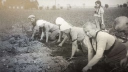 Zwangsarbeiter auf einem Feld bei Viersen