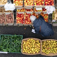 Eine ältere Person sucht ein paar Äpfel aus Holzkisten