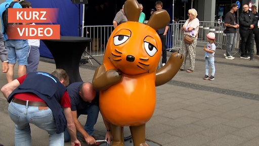 Die Maus ist zurück | Kurzvideo | tn