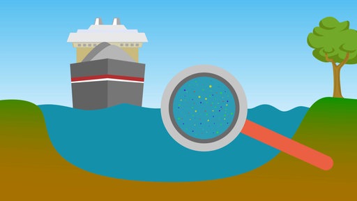 Grafik: Mikroplastik im Rhein 
