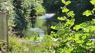 Entlang der Agger in Gummersbach