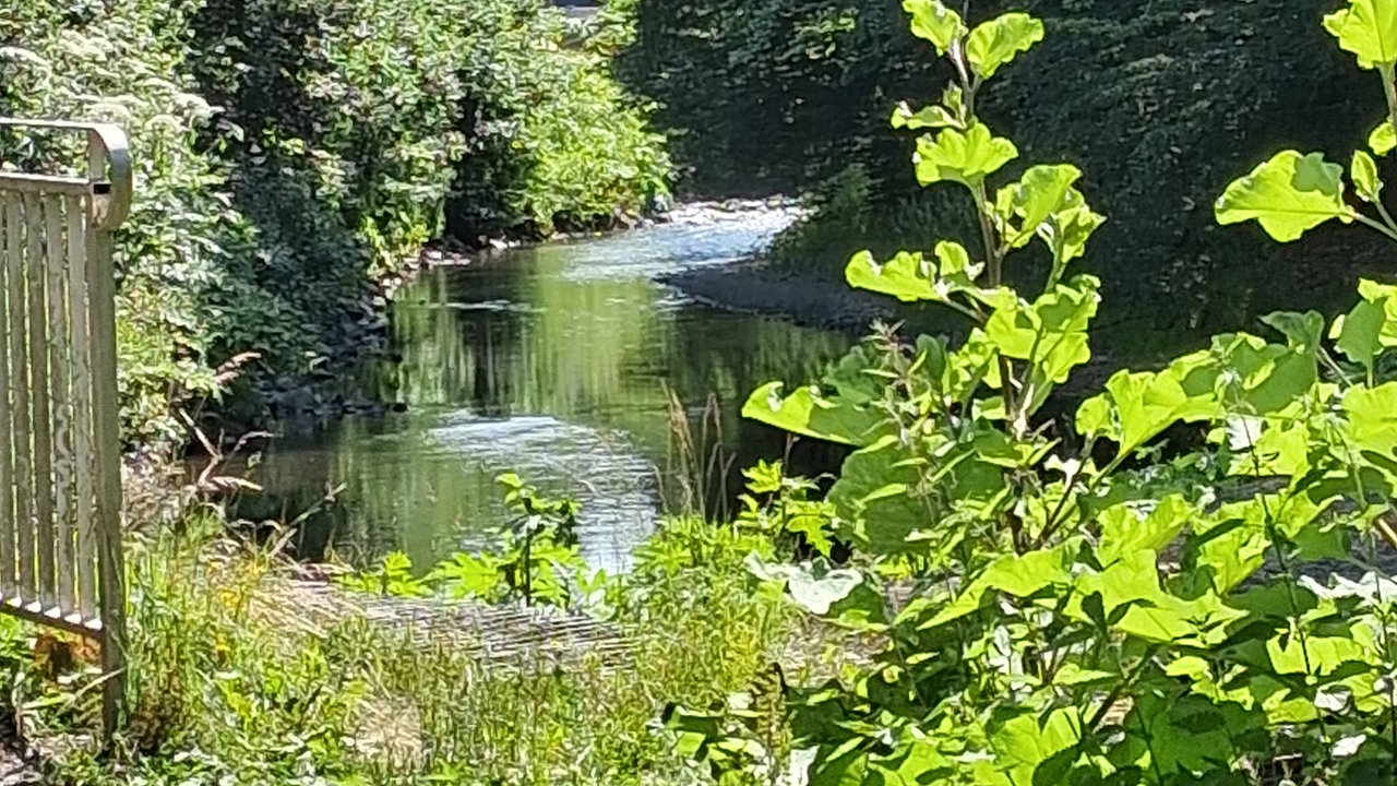 Entlang der Agger in Gummersbach