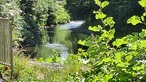 Entlang der Agger in Gummersbach