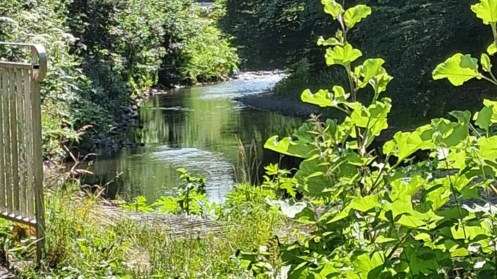 Entlang der Agger in Gummersbach