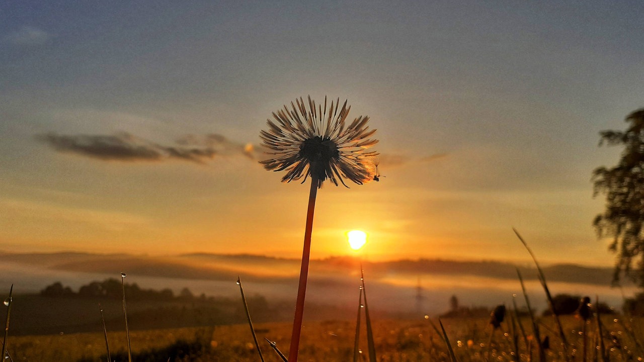 Sonnenaufgang auf dem "Glockenrücken", ein Naturschutzgebiet in der Nähe von Marsberg