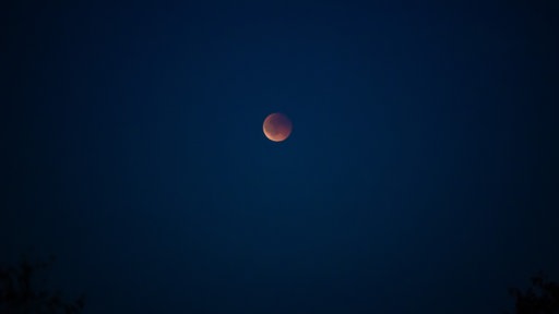 Blutmond im Nationalpark Eifel 07.09.2025