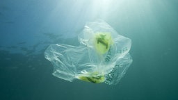 Eine Plastiktüte treibt im Meer