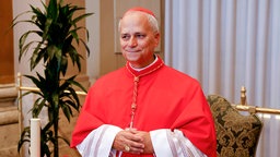 Porträt von dem neuen Papst Leo XIV