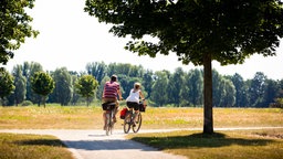 Radfahrer durchqueren bei schönem Wetter einen Park