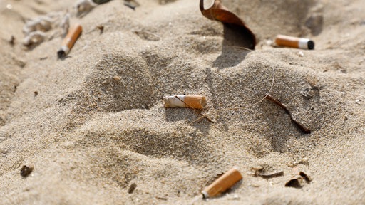 Zigarettenstummel liegen im Sand am Strand 