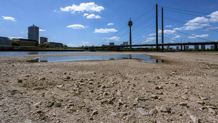 Rhein hat Niedrigwasser