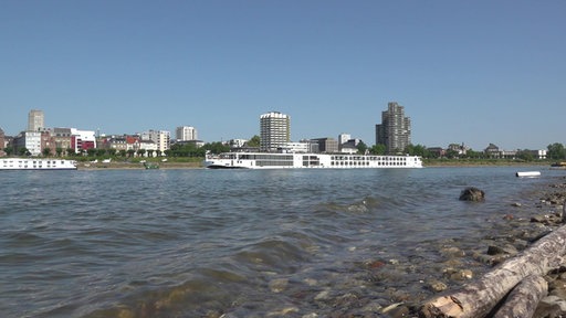 Der Rhein zeigt niedrige Pegelstände