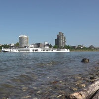 Der Rhein zeigt niedrige Pegelstände