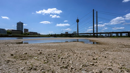 Rhein hat Niedrigwasser, große Flächen des Flusses liegen trocken, Blick auf die Rheinkniebrücke und den Rheinturm 