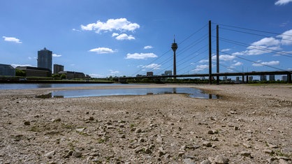 Rhein hat Niedrigwasser, große Flächen des Flusses liegen trocken, Blick auf die Rheinkniebrücke und den Rheinturm 