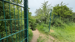 Im Naturschutzgebiet in Köln ist der grüne Zaun an verschiedenen Stellen besprüht worden.