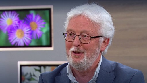 Rüdiger Wittkop: Anwalt für Reiserecht