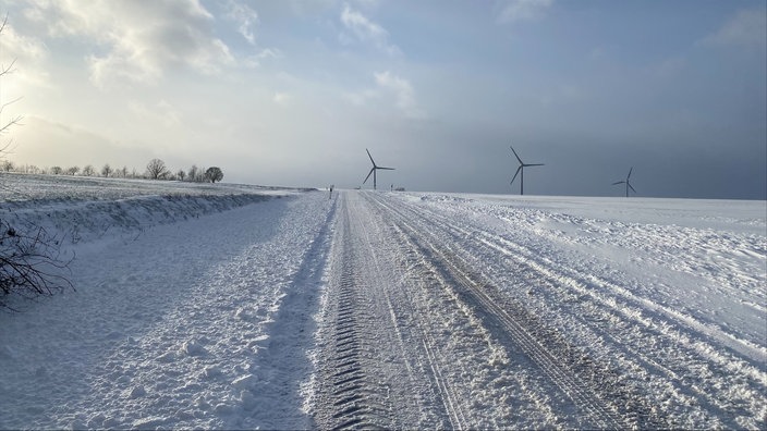 Die Sonne scheint vom blauen Himmel auf die von Schnee bedeckten Felder im Kreis Höxter