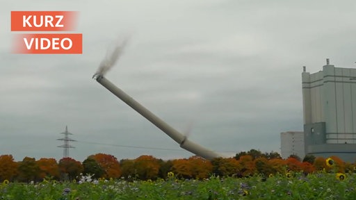 Schornstein am Gersteinwerk in Werne erfolgreich gesprengt | Kurzvideo | TN 