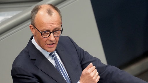 Friedrich Merz im Bundestag