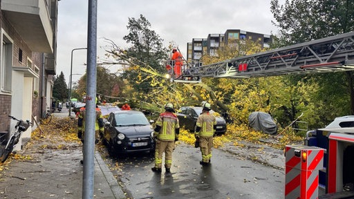Einsatzkräfte zersägen einen umgekippten Baum