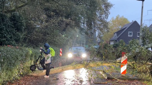 Eine Fahrerin hebt ihren E-Scooter über einen umgekippten Baum. Ein Auto bleibt vor diesem stehen.