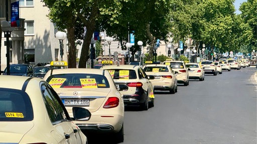 Taxi-Kolonne an der Adenauerallee/Museum Koenig Bonn