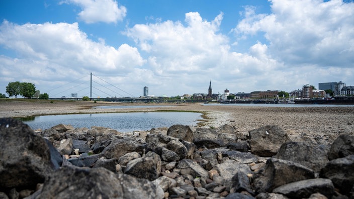 Am Rhein in Oberkassel mit Blick auf die Altstadt herrscht Trockenheit
