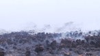 Schwarzes verbranntes Moor