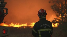 Feuerwehrmann löscht Waldbrand in Frankreich