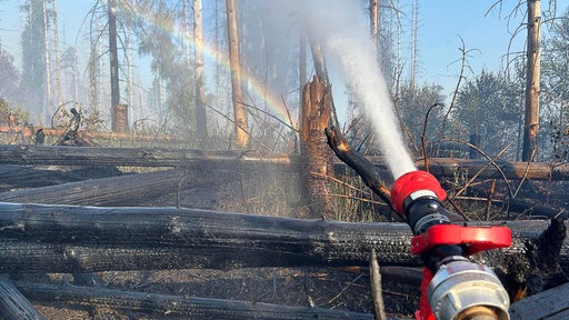 Kräftiger Wasserstrahl verursacht einen Regenbogen im abgebrannten Waldstück in Arnsberg