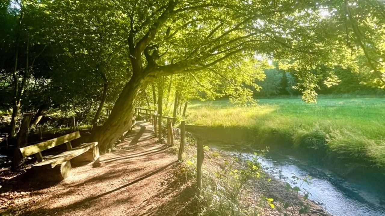 Wandern in NRW - wie hier im Stinderbachtal bei Erkrath