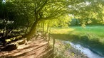 Wandern in NRW - wie hier im Stinderbachtal bei Erkrath