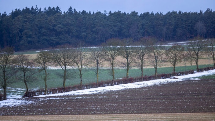 Blick auf leicht verschneite Felder in der Eifel