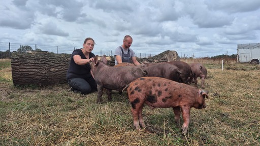 Jennifer und Christian Franke knien auf einer eingezäunten Weide und streicheln mehrere Schweine.