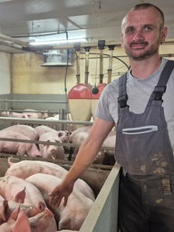 Christian Franke steht in einem Schweinestall neben mehreren Schweinen und hält seine Hand in Richtung der Tiere.