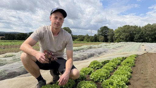 Gemüse-Landwirt Johannes Meyer zur Müdehorst auf einen seiner Felder