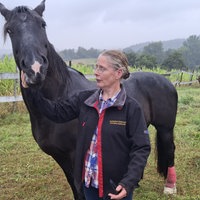 Eine Frau streichelt eine schwarze Stute auf einer Weide.