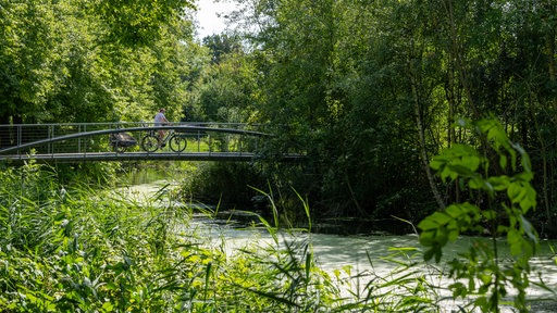 Eine Person fährt mit einem Fahrrad und Anhänger über eine Brücke durch den Wald.