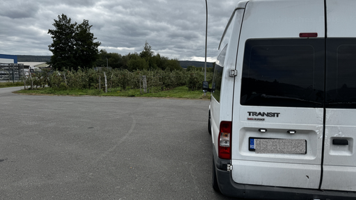 Weißer Bulli mit Rumännischen Kennzeichen