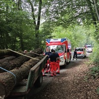 Drei Rettungseinsatzfahrzeuge gestaffelt in der Reihe am Unfallort, im Vordergrund der mit Baumstämmen beladene Anhänger des Treker
